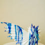 Sea shell decor