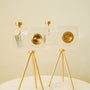 Crystal Camera decor 2pc