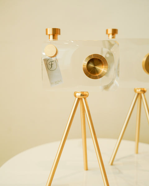 Crystal Camera decor 2pc