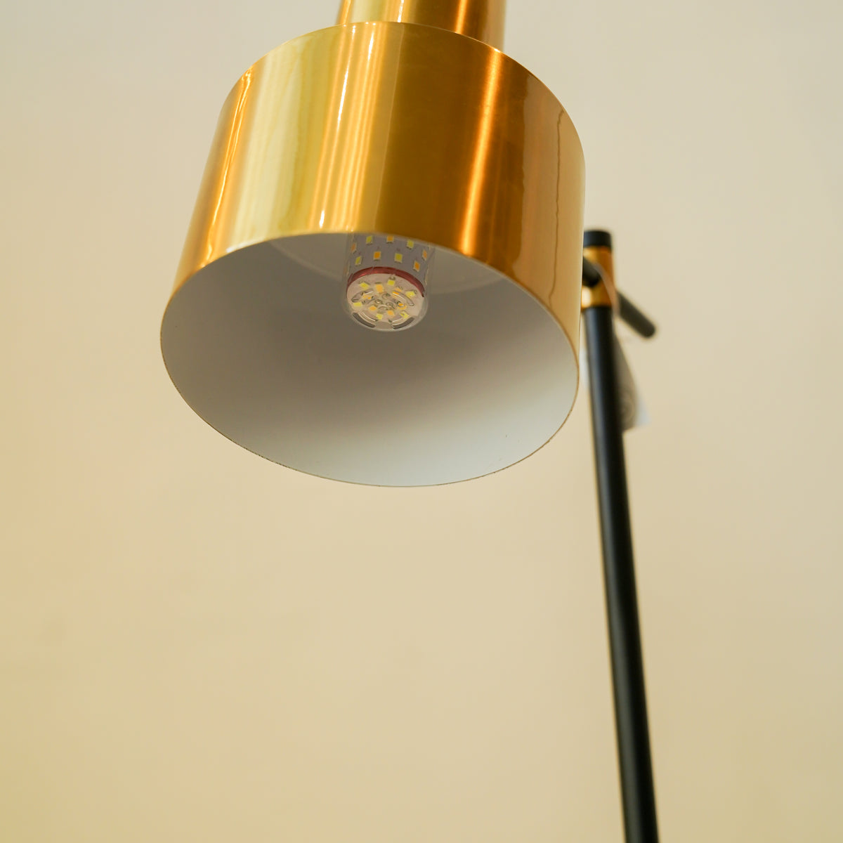 Nova Study Lamp