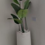 Heaven white stone large with banana tree