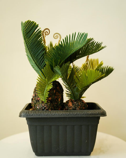 Realistic decorative planter