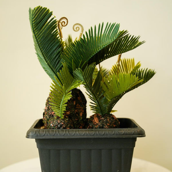 Realistic decorative planter
