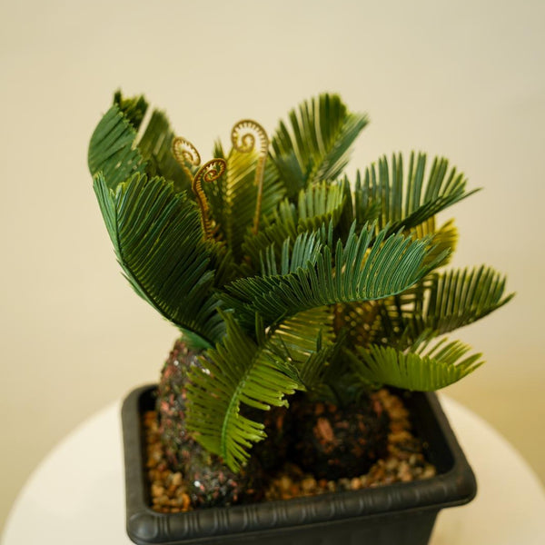 Realistic decorative planter