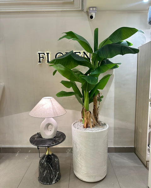 Heaven white stone with banana palm large