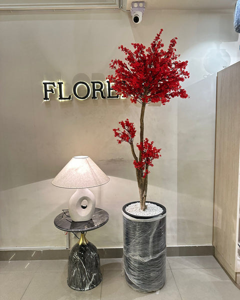 Red blossom tree with black grp