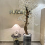 White blossom tree with black grp
