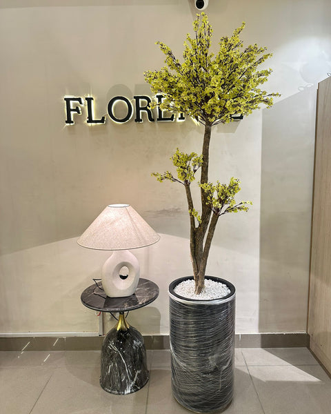 Yellow blossom tree with black grp