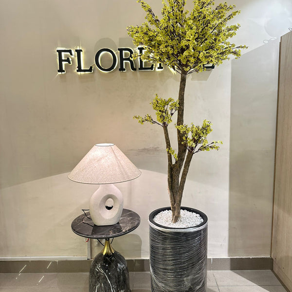 Yellow blossom tree with black grp