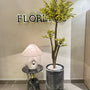 Yellow blossom tree with black grp