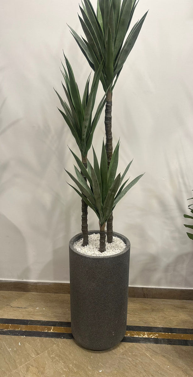 Heaven gray stone with cactus tree