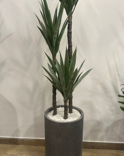 Heaven gray stone with cactus tree