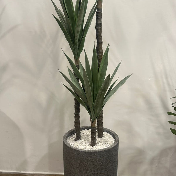 Heaven gray stone with cactus tree