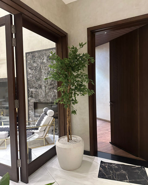 Venora white stone with ficus tree