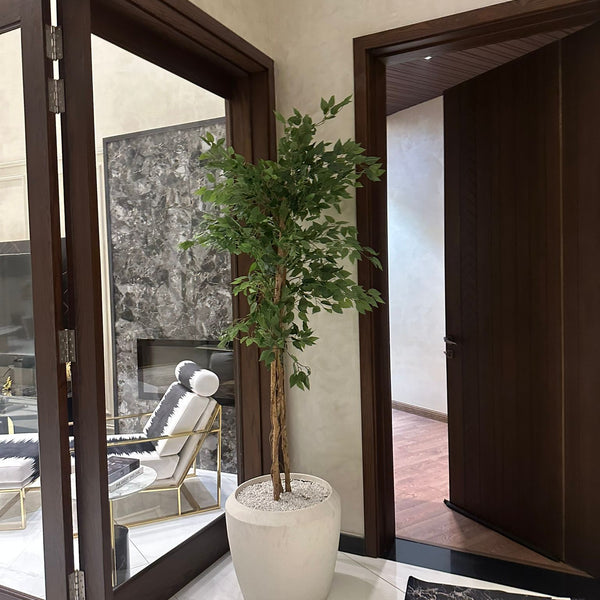 Venora white stone with ficus tree