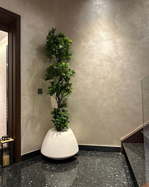 Zenith white stone with olive tree