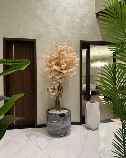 Peach blossom tree with black grp