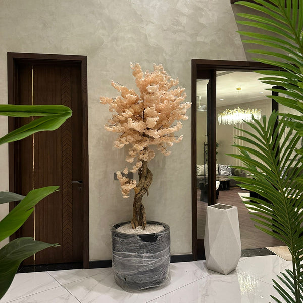 Peach blossom tree with black grp