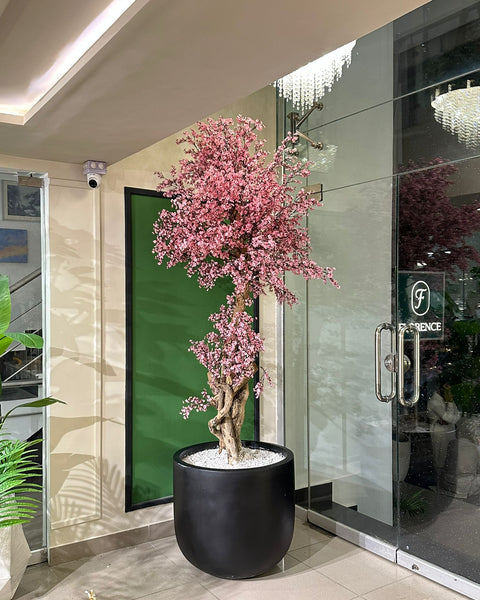 Pink cherry blossom with black grp large