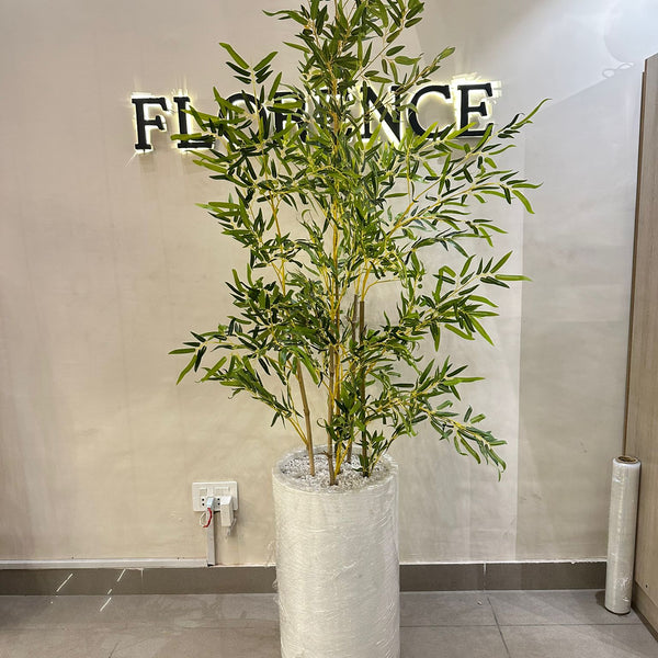 Heaven white stone large with bamboo tree