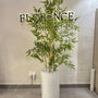 Heaven white stone large with bamboo tree