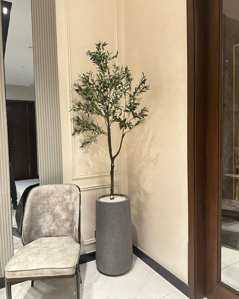 Heaven gray stone with olive tree