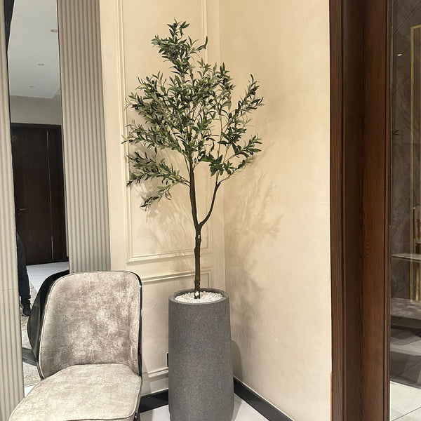 Heaven gray stone with olive tree
