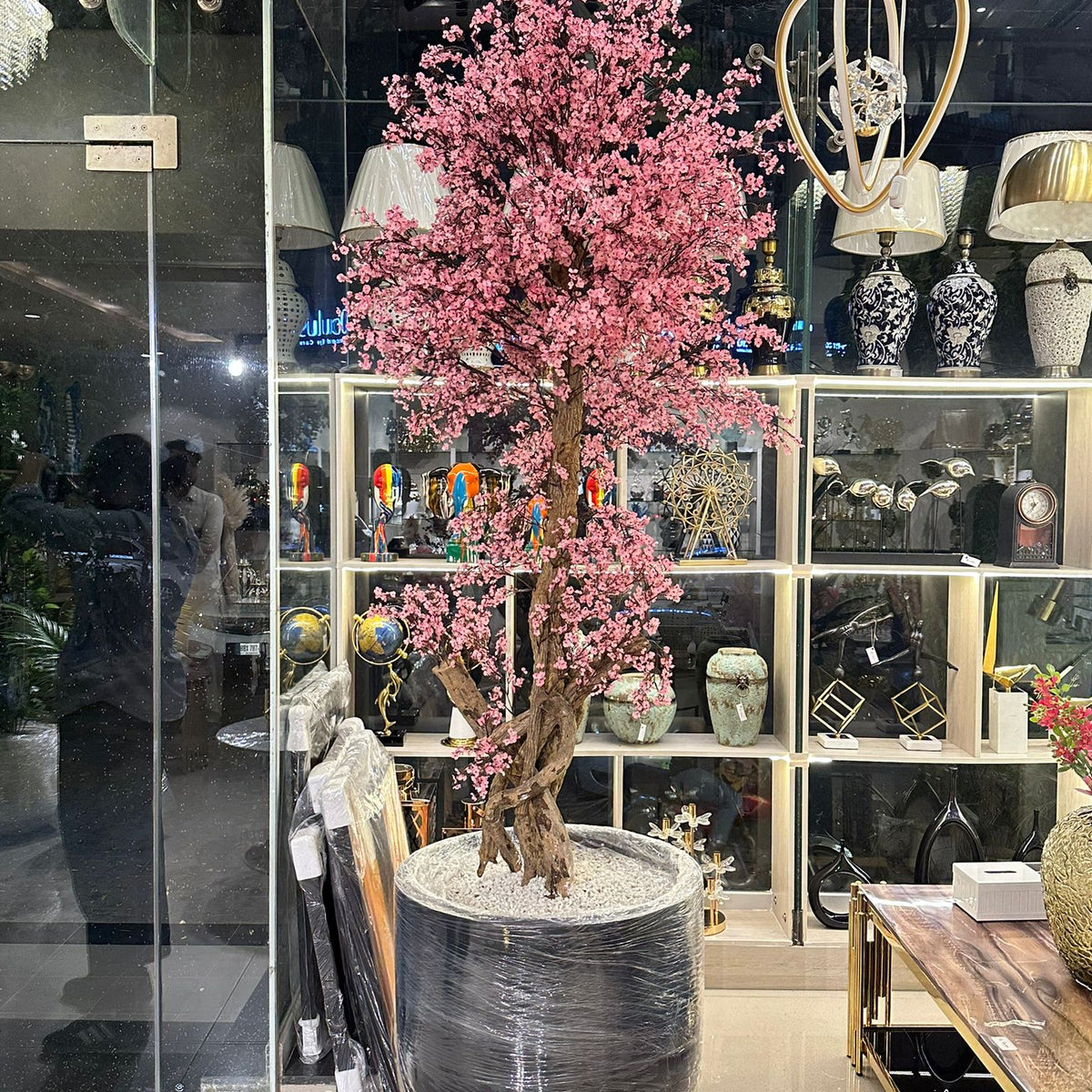 Pink cherry blossom with black grp large