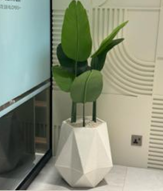 Diamond white stone medium with banana tree