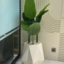 Diamond white stone medium with banana tree