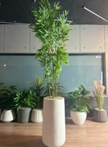 Heaven white stone large with bamboo tree