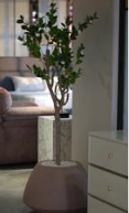 Zenith brown stone with rose plant