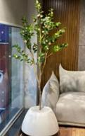 Zenith white stone with rose plant